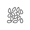 Seed Oil-Free